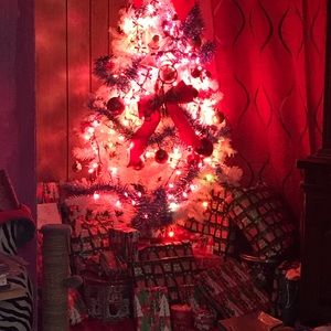 Meet your Posher, Steve